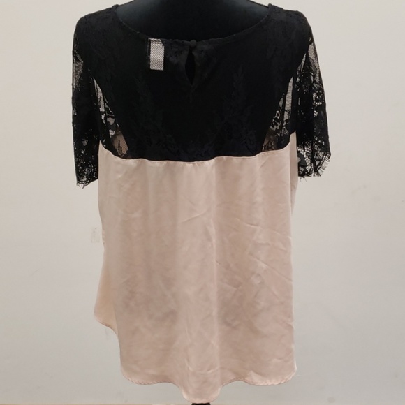 Torrid Top - Picture 2 of 3